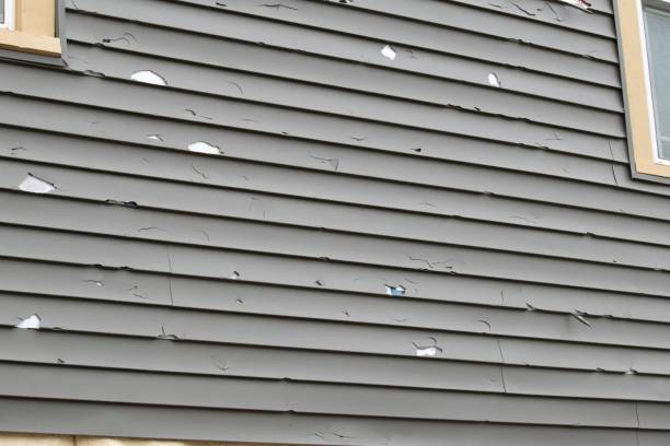 Best Engineered Wood Siding  in Alamogordo, NM